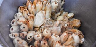 Intoxican a niña con tamales de fentanilo en Huachinango