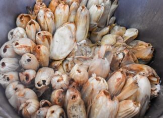 Intoxican a niña con tamales de fentanilo en Huachinango