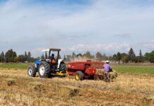Avanza mecanización del campo poblano: Agricultura