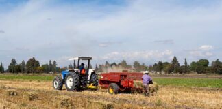 Avanza mecanización del campo poblano: Agricultura