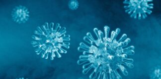 Fármaco anti-covid muestra eficacia contra el virus Nipah