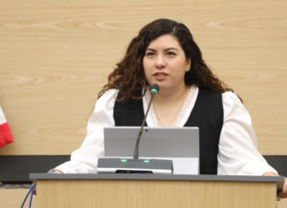 Plantean crear Fiscalía Especializada en Violencia de Género