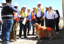 Célula de Bienestar Animal en Puebla registra un avance del 38%