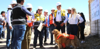 Célula de Bienestar Animal en Puebla registra un avance del 38%