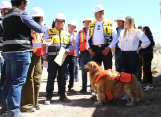 Célula de Bienestar Animal en Puebla registra un avance del 38%