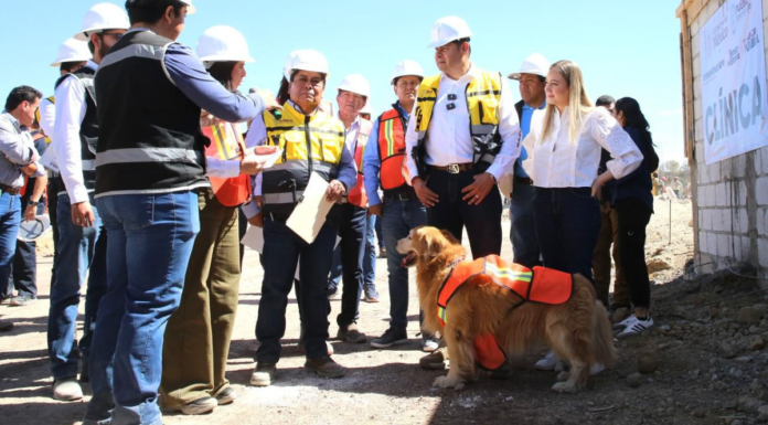 Célula de Bienestar Animal en Puebla registra un avance del 38%