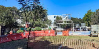 Reubicarán 746 árboles por obras del Cablebús en Puebla