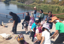 Niñas y niños exploran aves en el Parque Chapulco de Puebla