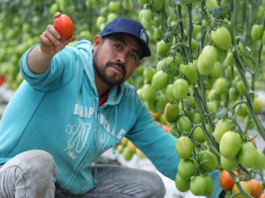 Avanza construcción de los CIITRA en San José Chiapa y Aquixtla