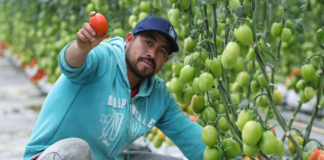 Avanza construcción de los CIITRA en San José Chiapa y Aquixtla