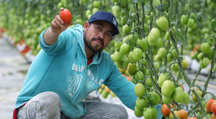 Avanza construcción de los CIITRA en San José Chiapa y Aquixtla