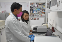 BUAP investiga cannabinoides como tratamiento para epilepsia