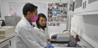 BUAP investiga cannabinoides como tratamiento para epilepsia