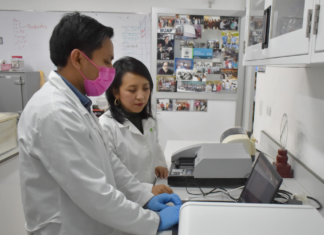 BUAP investiga cannabinoides como tratamiento para epilepsia