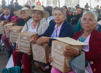 Entregan más de 5 mil despensas en Santa María Guadalupe Tecola