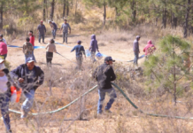 Logran controlar incendio forestal en Vicente Guerrero; afectó 240 hectáreas