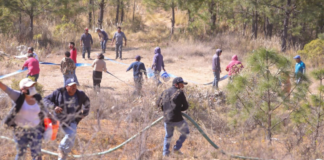 Logran controlar incendio forestal en Vicente Guerrero; afectó 240 hectáreas