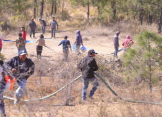 Logran controlar incendio forestal en Vicente Guerrero; afectó 240 hectáreas