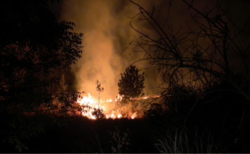 San Pedro Cholula controla 95% del incendio en el Cerro Zapotecas