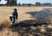 Puebla ha atendido 88 incendios forestales en 31 municipios