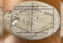 Identifican juego de mesa romano gracias a programa de IA