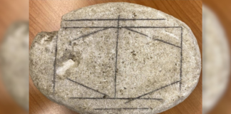 Identifican juego de mesa romano gracias a programa de IA