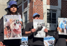 Veterinarios de Puebla se manifiestan para exigir mayor seguridad y respeto