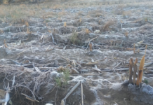 Bajan temperaturas hasta 1 grado en varios municipios de Puebla