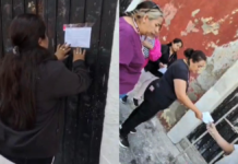 Mantienen operativos contra venta ilegal de animales en Analco