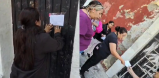 Mantienen operativos contra venta ilegal de animales en Analco