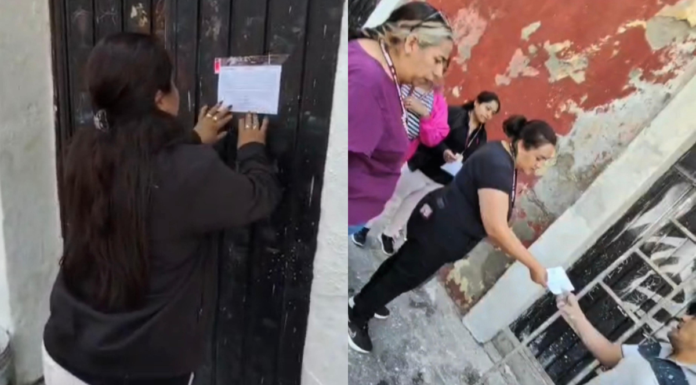 Mantienen operativos contra venta ilegal de animales en Analco