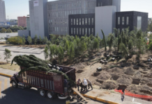 Inicia reforestación con 10 mil árboles en CIS y Parque Ecológico