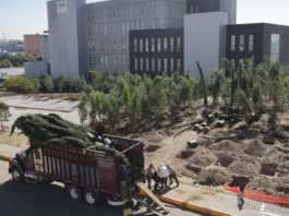 Inicia reforestación con 10 mil árboles en CIS y Parque Ecológico