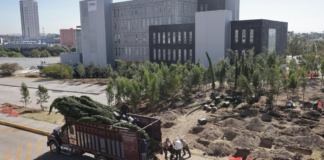 Inicia reforestación con 10 mil árboles en CIS y Parque Ecológico