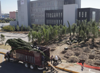 Inicia reforestación con 10 mil árboles en CIS y Parque Ecológico