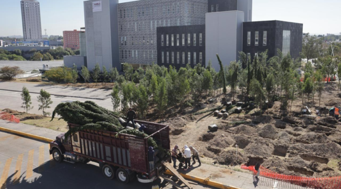 Inicia reforestación con 10 mil árboles en CIS y Parque Ecológico