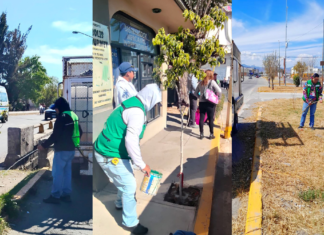 Plantan más de 2 mil 500 árboles en calles de Texmelucan