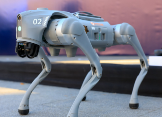 Incorporan perros robot para seguridad en Guadalupe, NL