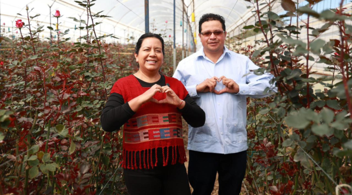 Promueven la rosa poblana rumbo al Día del Amor y la Amistad