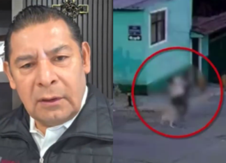 Armenta condena agresión contra mujer por intentar proteger a perros