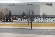 SITAUDI reporta estabilidad laboral pese a bloqueos y tensiones comerciales