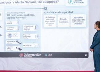Suman 130 mil 178 personas desaparecidas en México desde 2006