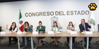 Diputados avalan uso terapéutico de mascotas en estancias de asistencia social