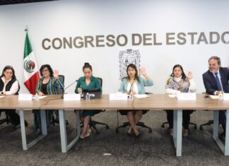 Diputados avalan uso terapéutico de mascotas en estancias de asistencia social