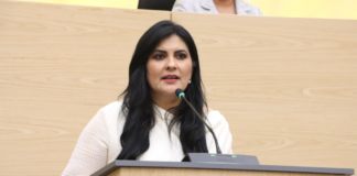 Delfina Pozos propone licencia laboral por violencia de género