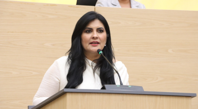 Delfina Pozos propone licencia laboral por violencia de género