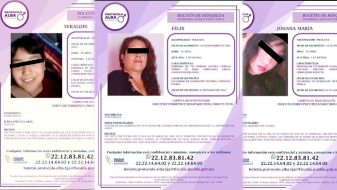 Fichas de búsqueda