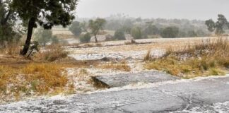 Granizada afecta cultivos en municipios de las faldas del Citlaltépetl