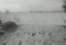 Intensa granizada cubre calles y cultivos en Aljojuca y el Valle de Serdán