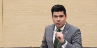 Plantean sanciones por impedir el acceso a lugares con perros guía